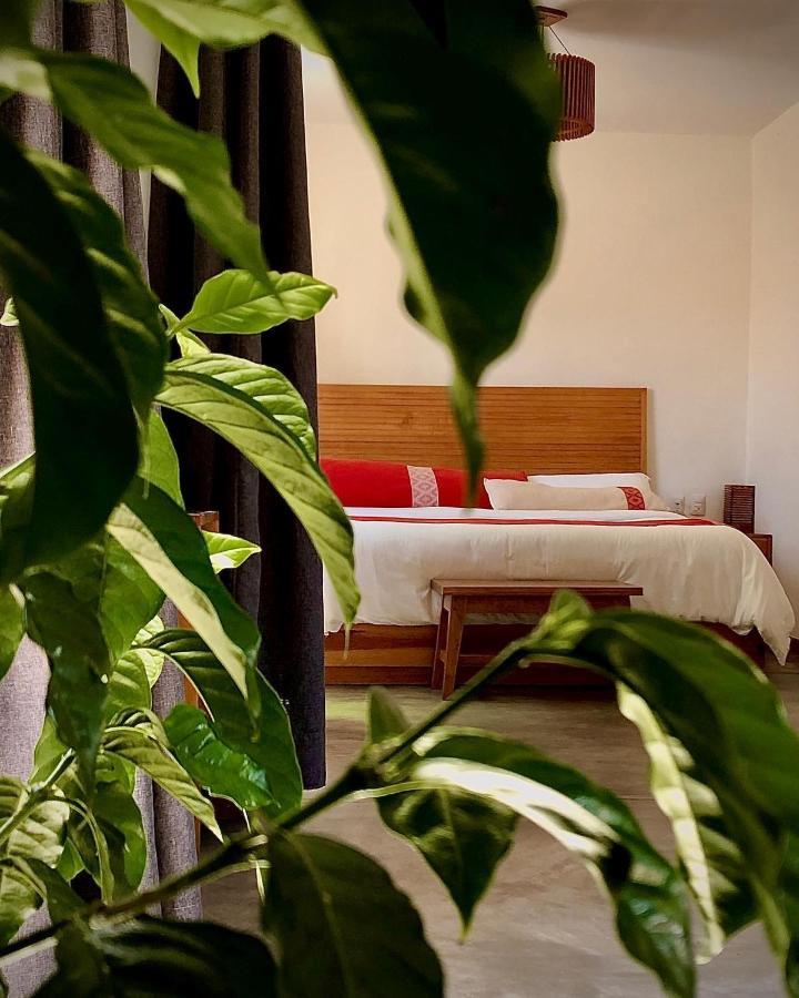 Casa Cafeologo Hotel San Cristóbal de Las Casas Kültér fotó