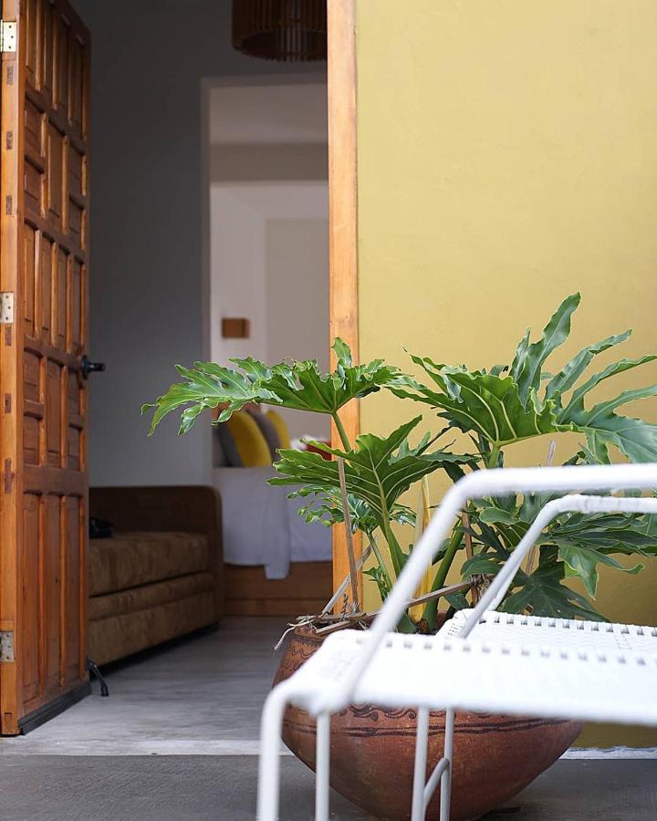 Casa Cafeologo Hotel San Cristóbal de Las Casas Kültér fotó
